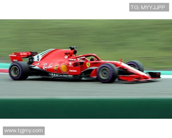 维泰尔的传奇之路：从天才少年到赛车王者的辉煌历程与挑战