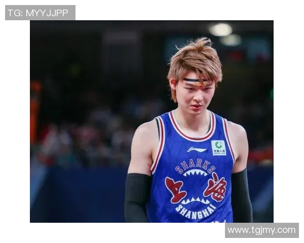 王哲林：从青涩新星到篮球巨星的成长之路与未来展望