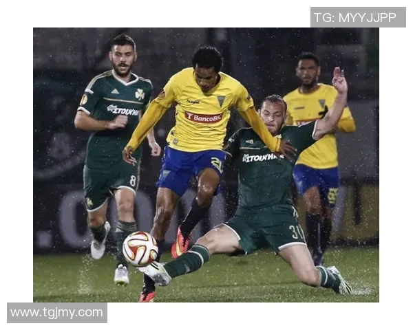 洪卡与玛丽港的较量探秘两地文化与经济的交融之旅