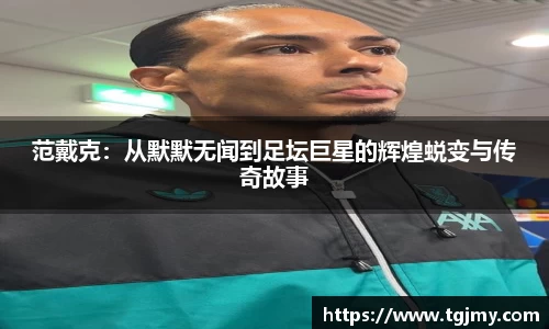 范戴克：从默默无闻到足坛巨星的辉煌蜕变与传奇故事