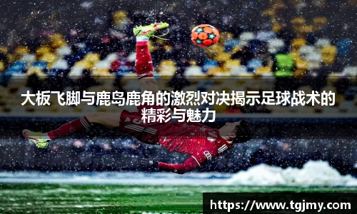 ld乐动官网入口